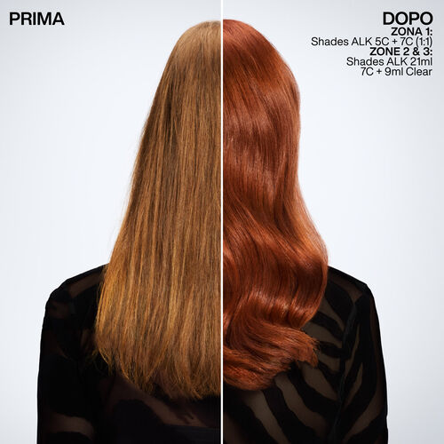 Shades ALK - Redken | L'Or&eacute;al Partner Shop